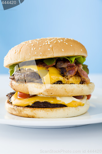 Image of Cheese burger
