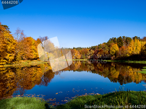 Image of Colorful autumn forest wood on the lake