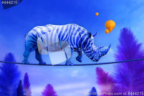 Image of Blue Rhino walking on rope