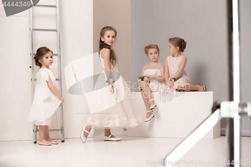 Image of Little pretty girls with flowers dressed in wedding dresses