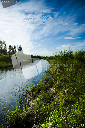 Image of Wetland marshes