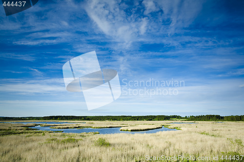 Image of Wetland marshes