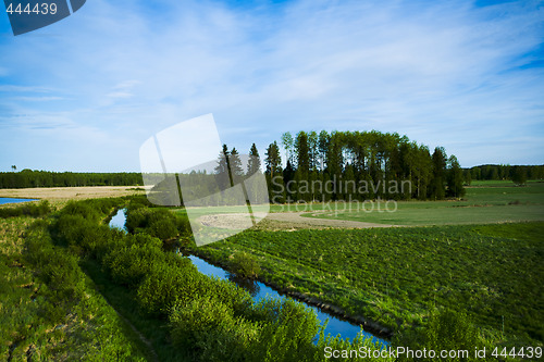 Image of Wetland marshes