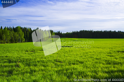 Image of Wetland marshes