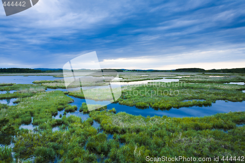 Image of Wetland marshes