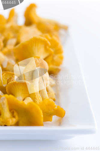 Image of chanterelles