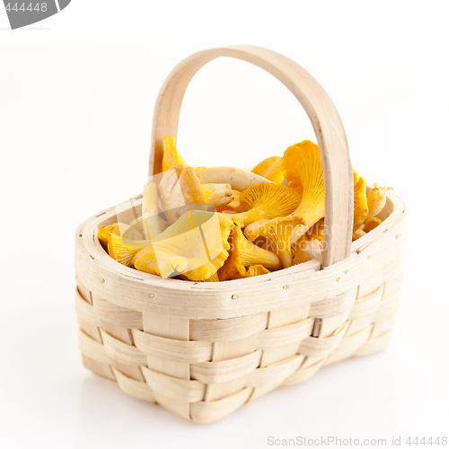 Image of chanterelles