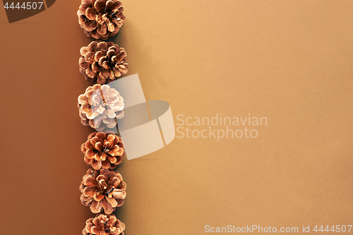 Image of Christmas decoration background with line of pine cones