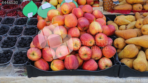Image of Apples