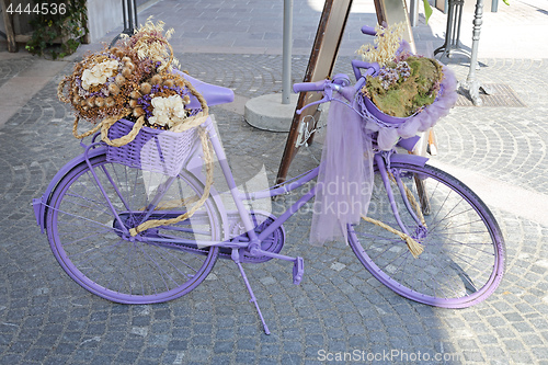 Image of Purple Bicycle