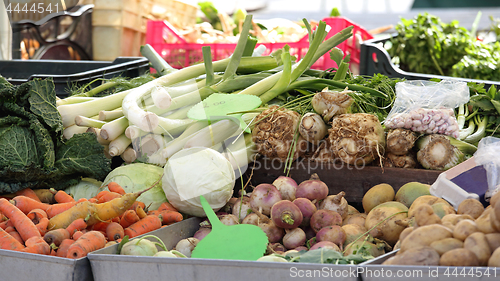 Image of Root Vegetables