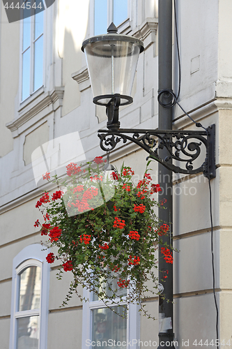Image of Hanging Street Flower Pot