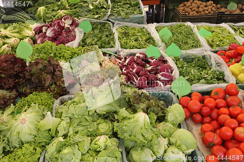 Image of Leafy Greens