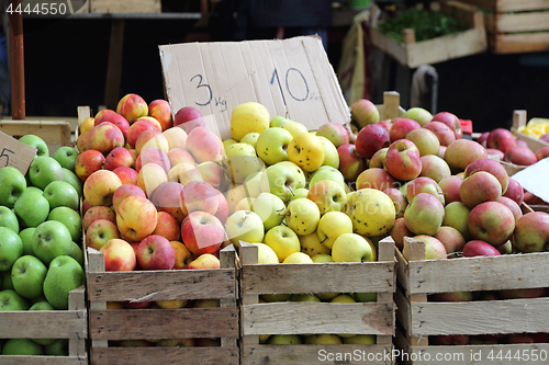 Image of Organic Apples