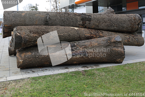 Image of Logs