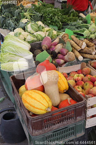 Image of Gourds