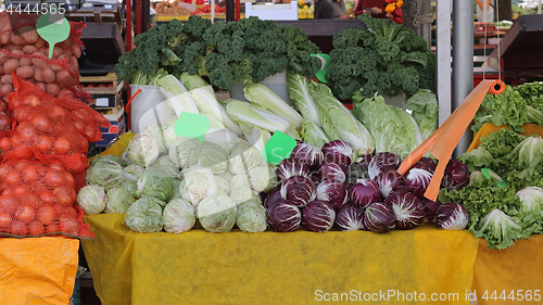 Image of Vegetables