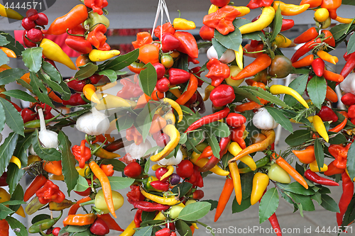 Image of Chili Peppers