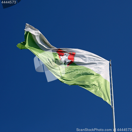 Image of Ljubljana City Flag