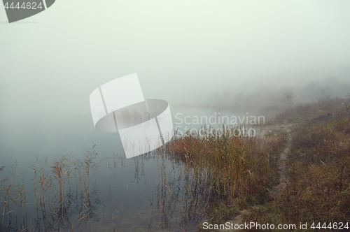 Image of Fog on the lakeside