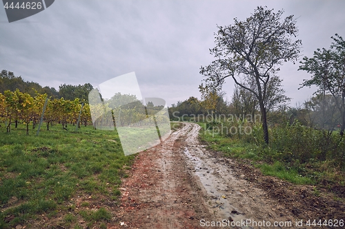 Image of Dirtroad in the countryside