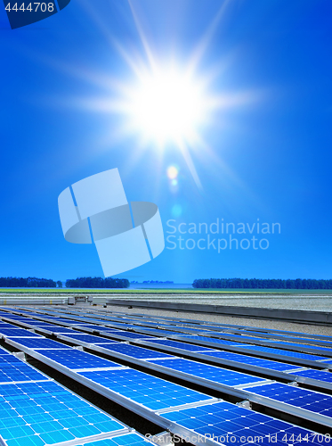 Image of solar cell array in the field