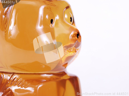 Image of Close Up of A Honey Bear