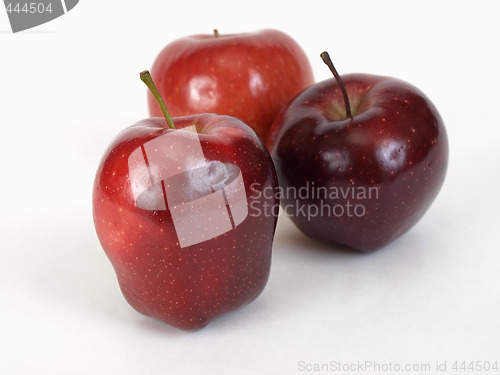 Image of Apple Trio