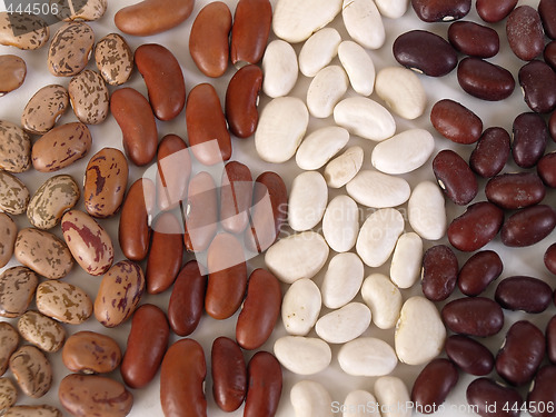 Image of Dried Beans