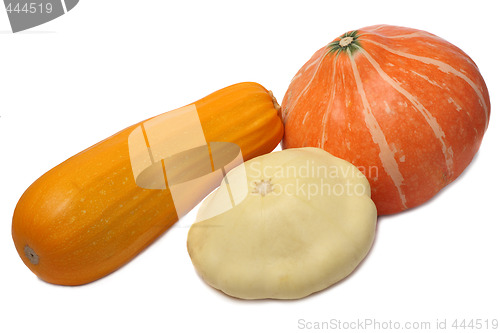 Image of Squash varieties