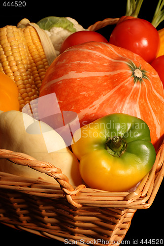 Image of Autumnal vegetables