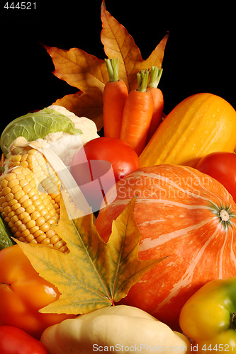 Image of Autumnal vegetables