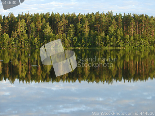 Image of Reflection of forest in lake