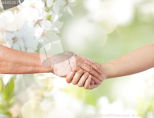 Image of close up of senior and young woman holding hands