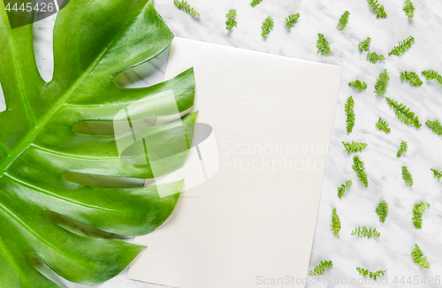 Image of Blank sheet of paper and green leaves on marble background