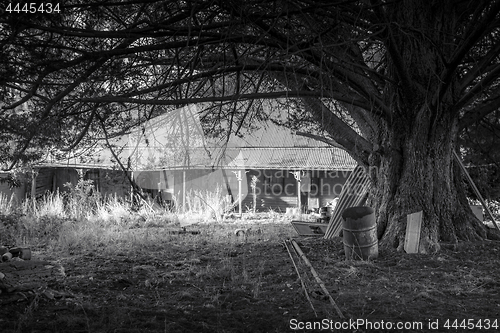 Image of Abandoned old Australian homestead