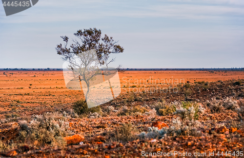 Image of Australian outback landscape near Broken Hill