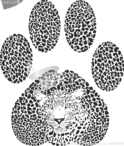 Image of Leopard Footprint