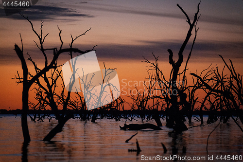 Image of Lake Pamamaroo