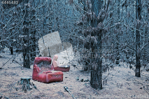 Image of Abandoned red chair in the wintry pine forest