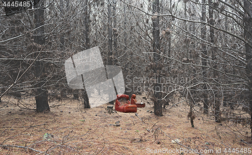 Image of Old dilapidated chair in wintry pine forest