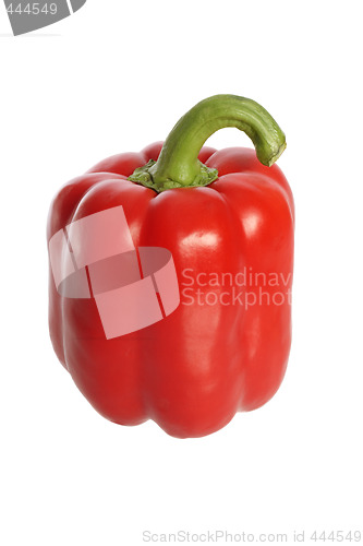 Image of Red bell pepper