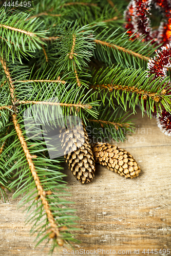 Image of Christmas fir tree with pinecones.