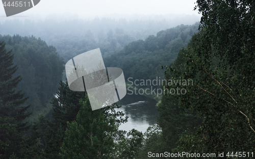 Image of Atmospheric Foggy Forest Landscape With The River