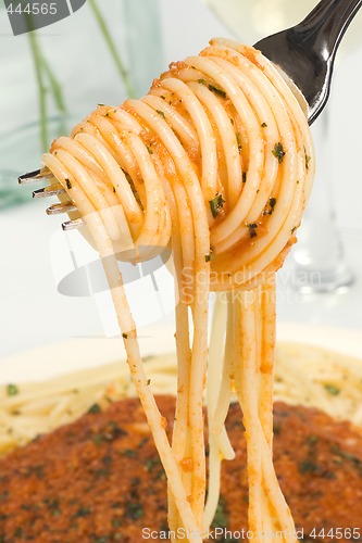Image of Spaghetti on a Fork