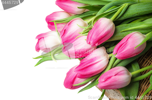 Image of Beautiful bouquet from pink tulips 