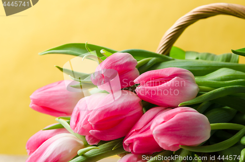 Image of Beautiful bouquet of pink tulips in a wicker basket