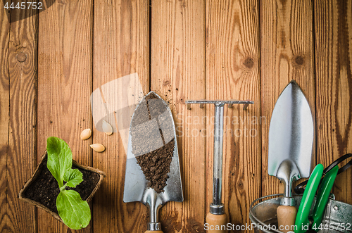 Image of Still-life with sprouts and the garden tool, the top view