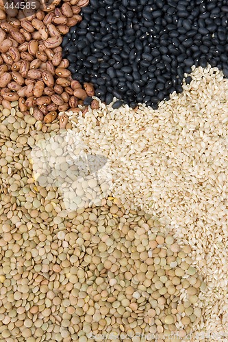 Image of Beans Rice and Lentils as a background pattern