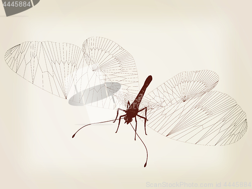 Image of Line butterfly concept. 3d illustration. Vintage style